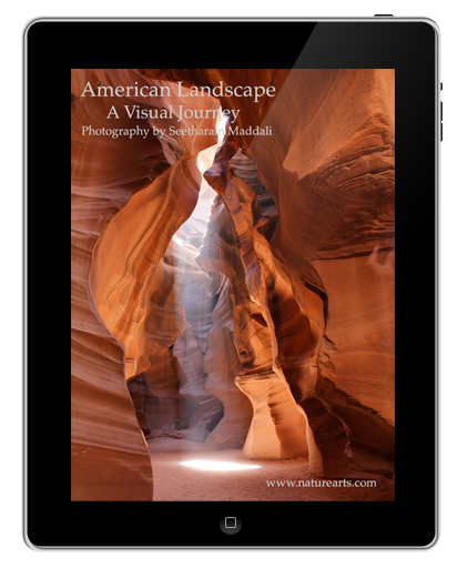 American Landscape; A Visual Journey